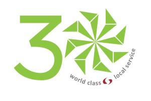30th logo